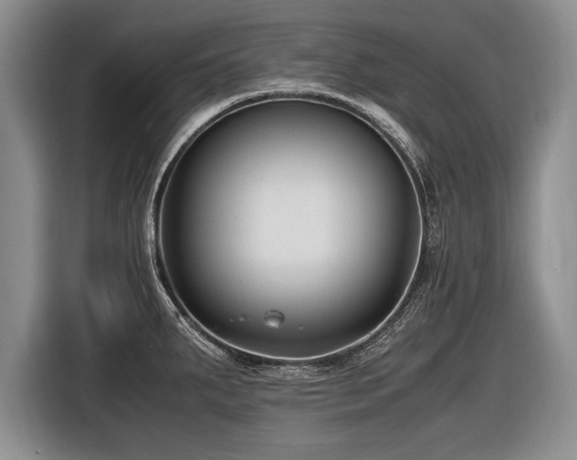 X0000116621287200912111149