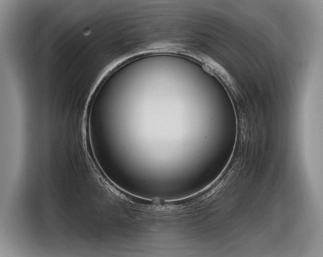 X0000116621288200912111149