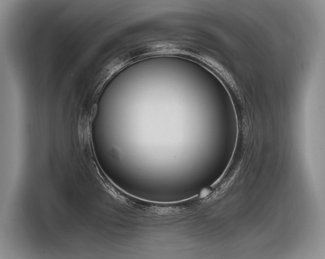 X0000116621289200912111149