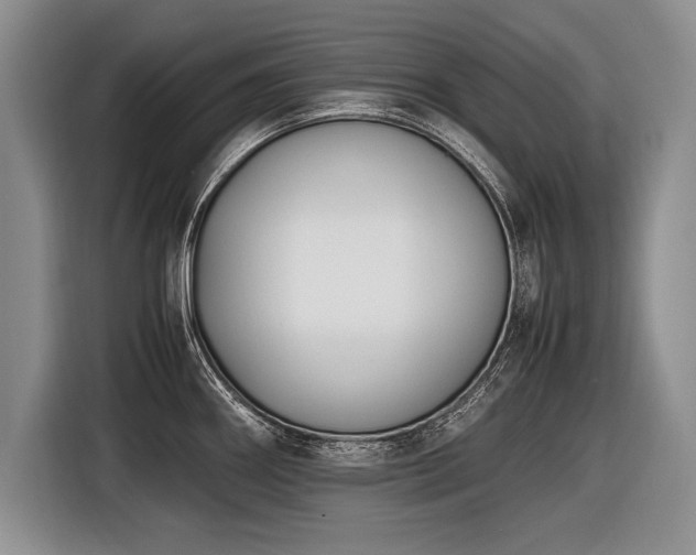 X0000116621290200912111149