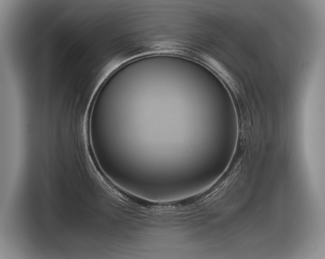 X0000116621291200912111149