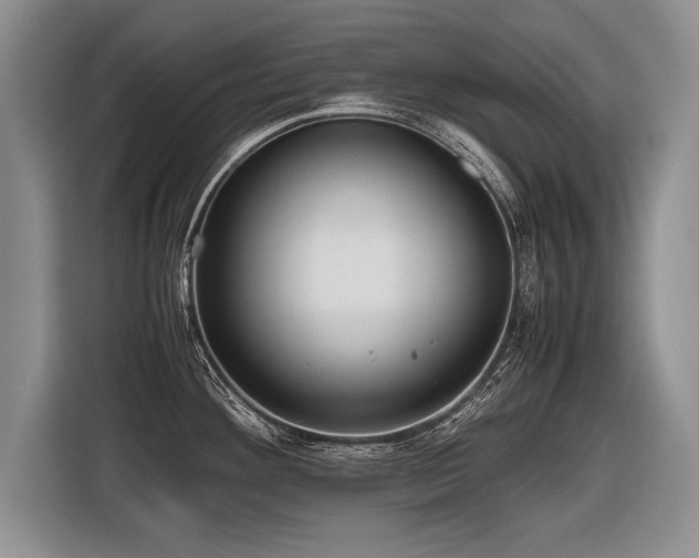 X0000116621292200912111149
