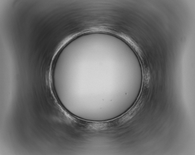 X0000116621294200912111149