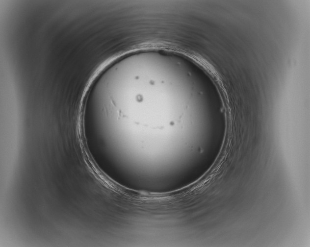 X0000116621296200912111149