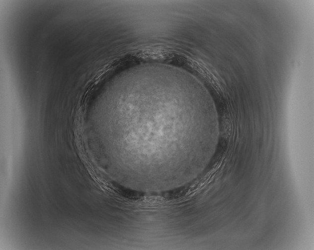 X0000116621297200912111148