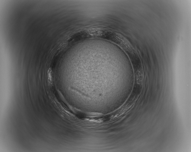 X0000116621298200912111148