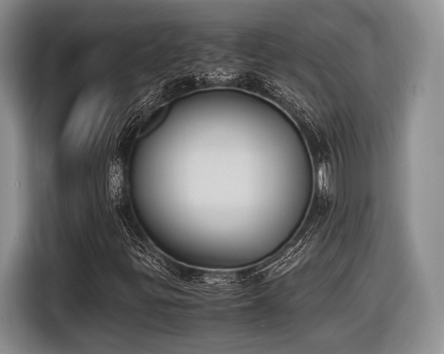X0000116621299200912111148