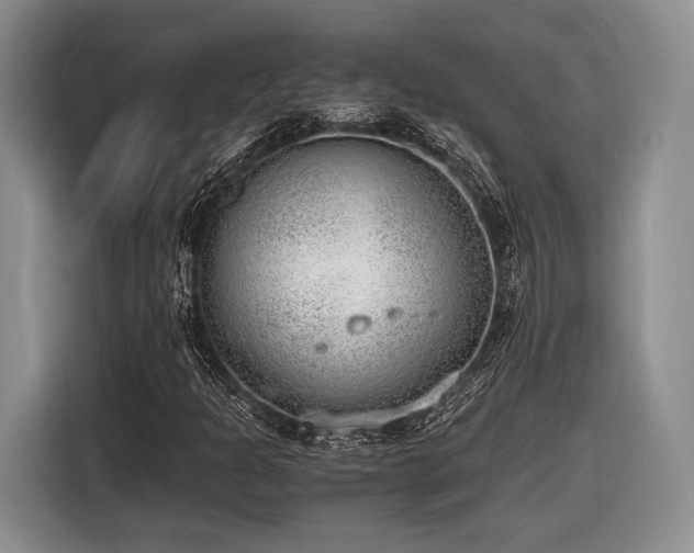X0000116621301200912111148