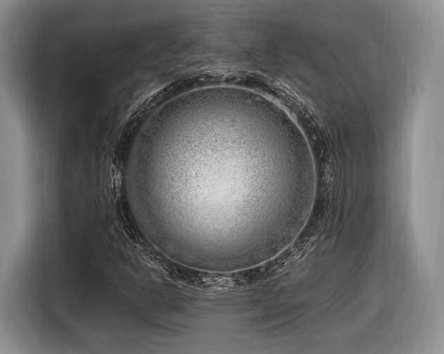 X0000116621302200912111148