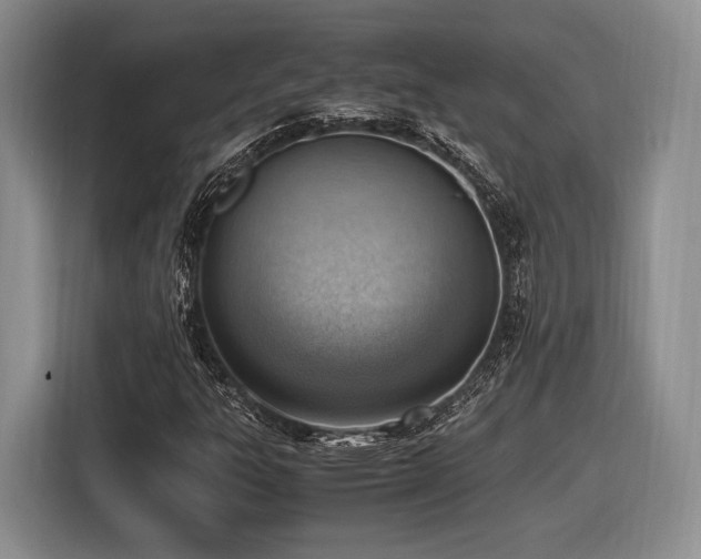 X0000116621303200912111148