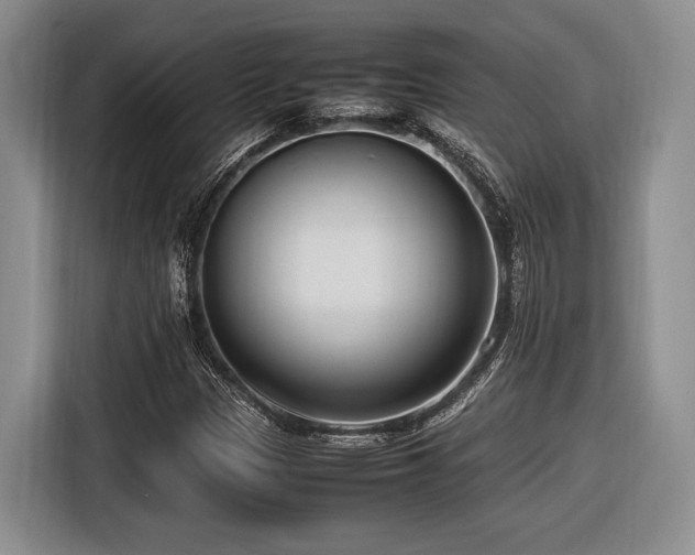 X0000116621305200912111148
