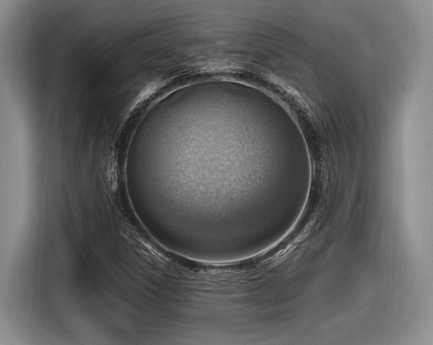 X0000116621306200912111148