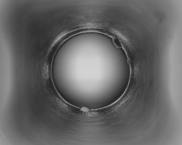 X0000116621310200912111148