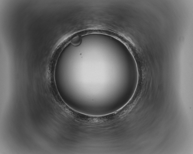 X0000116621311200912111148