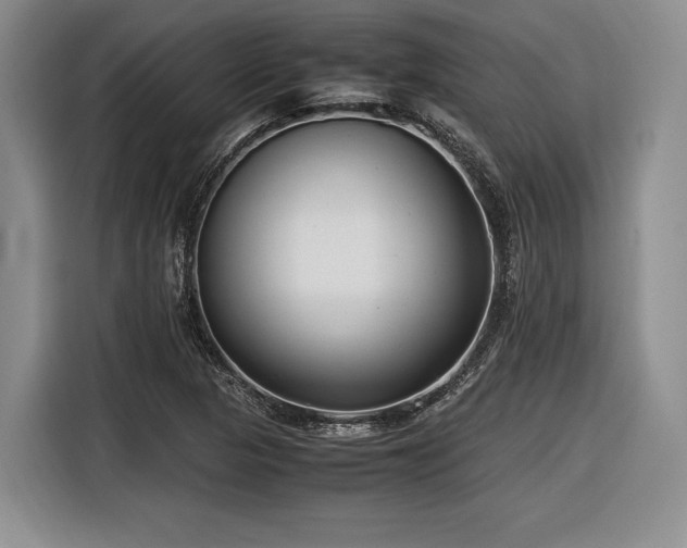 X0000116621313200912111148