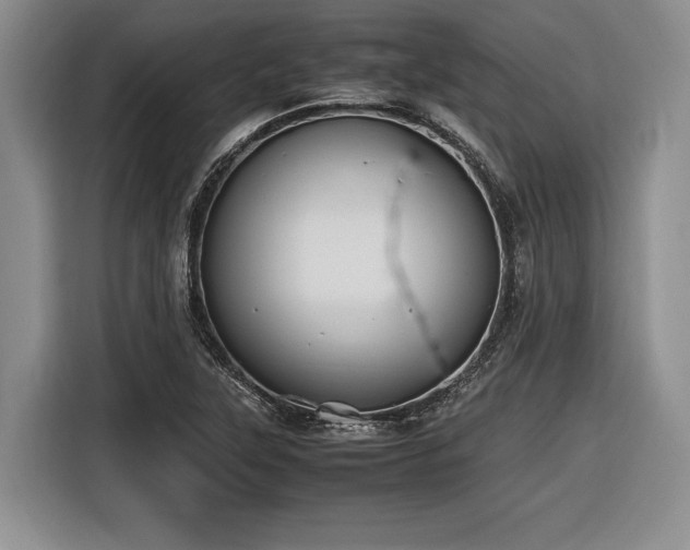 X0000116621315200912111148