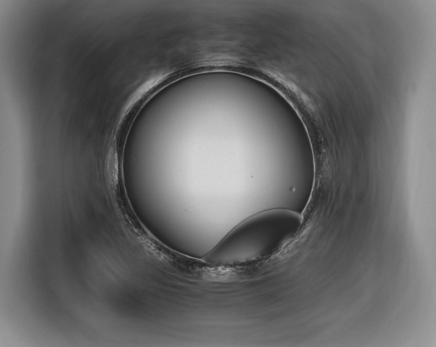X0000116621317200912111148