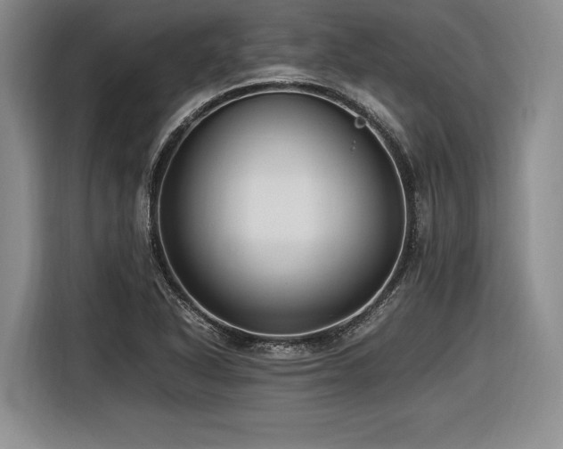 X0000116621318200912111148