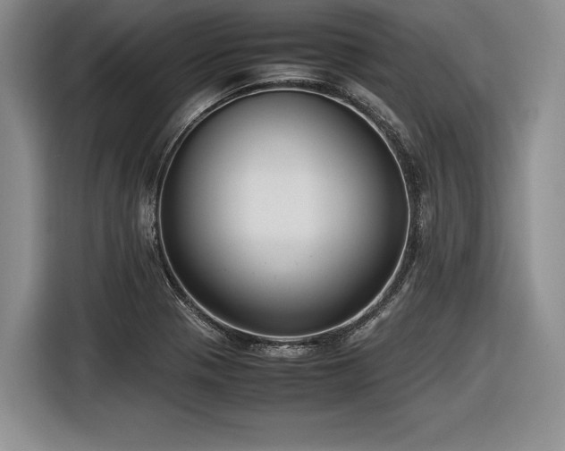 X0000116621321200912111148