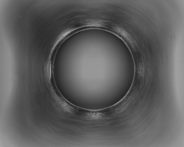 X0000116621323200912111148