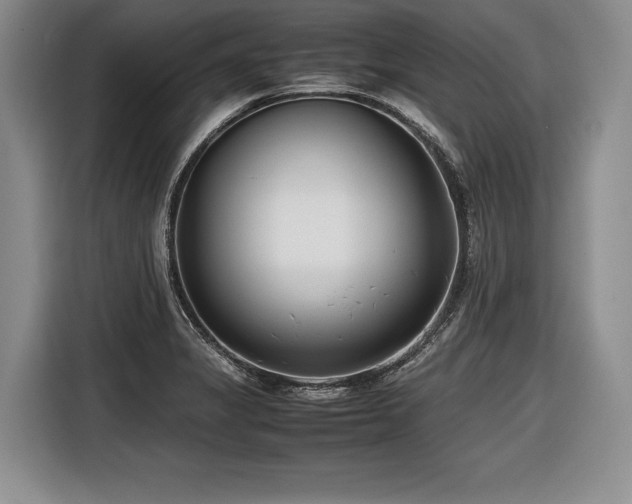 X0000116621325200912111148