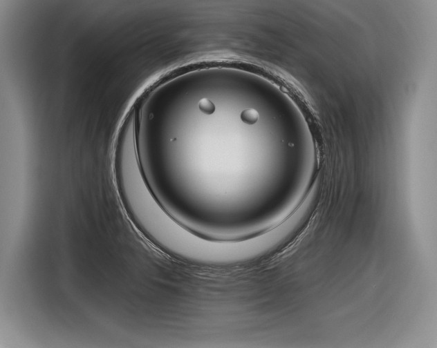X0000116621326200912111148