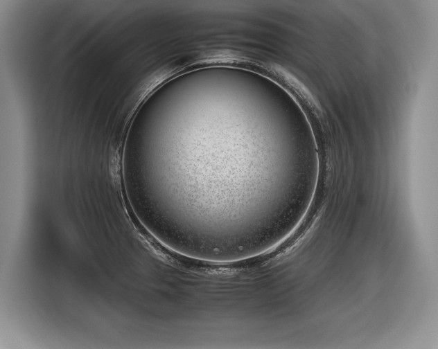 X0000116621329200912111148