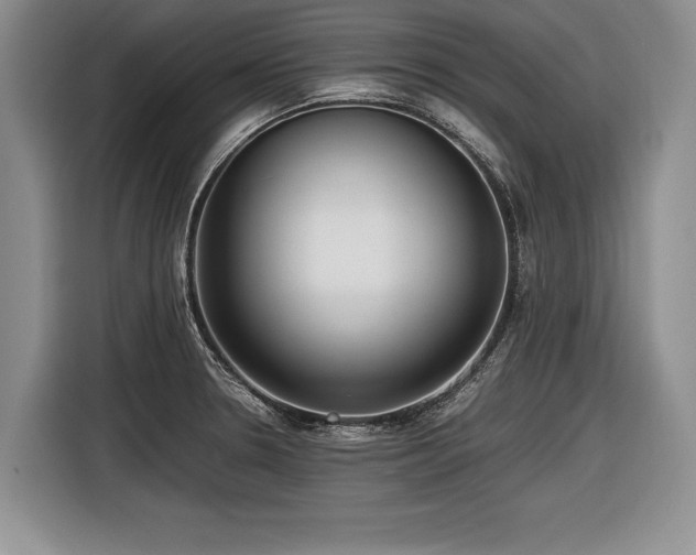 X0000116621330200912111148