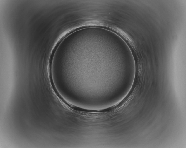 X0000116621334200912111148
