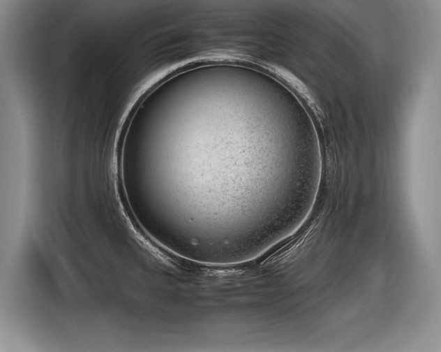 X0000116621335200912111148