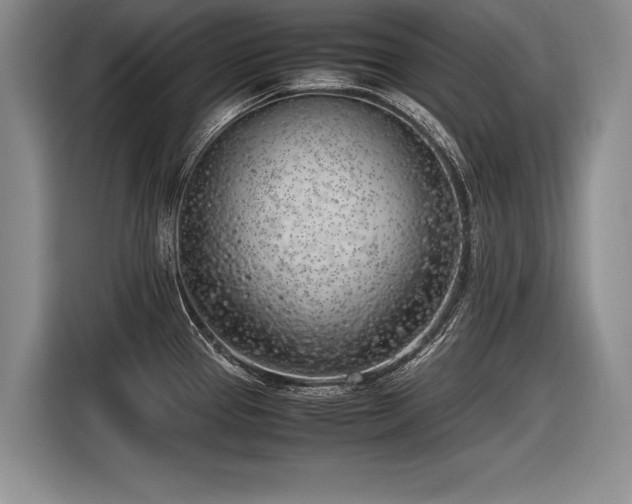 X0000116621337200912111148