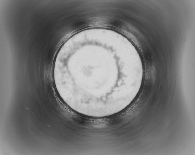 X0000116621338200912111148