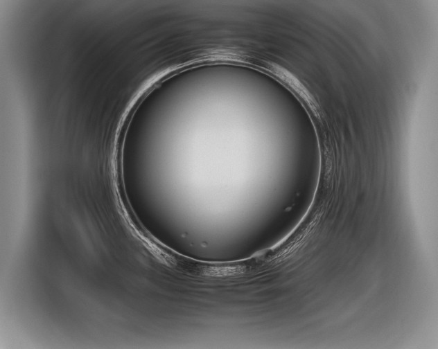 X0000116621339200912111148