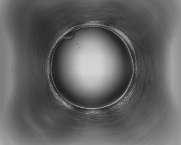 X0000116621341200912111149