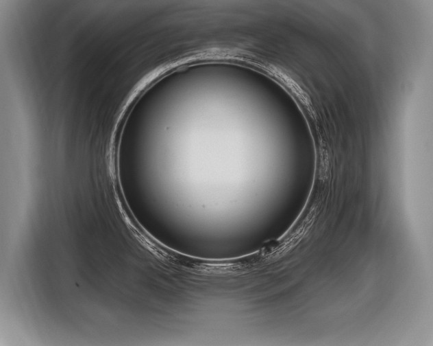 X0000116621342200912111149
