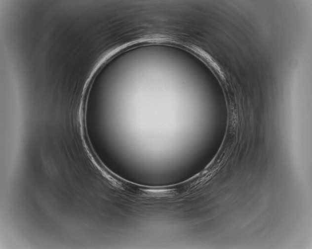 X0000116621343200912111149
