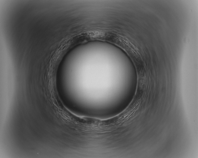 X0000116621345200912111148