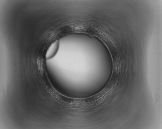 X0000116621346200912111148