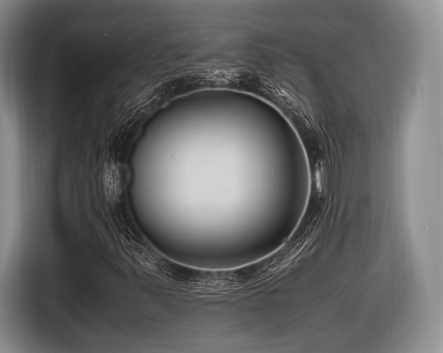 X0000116621347200912111148