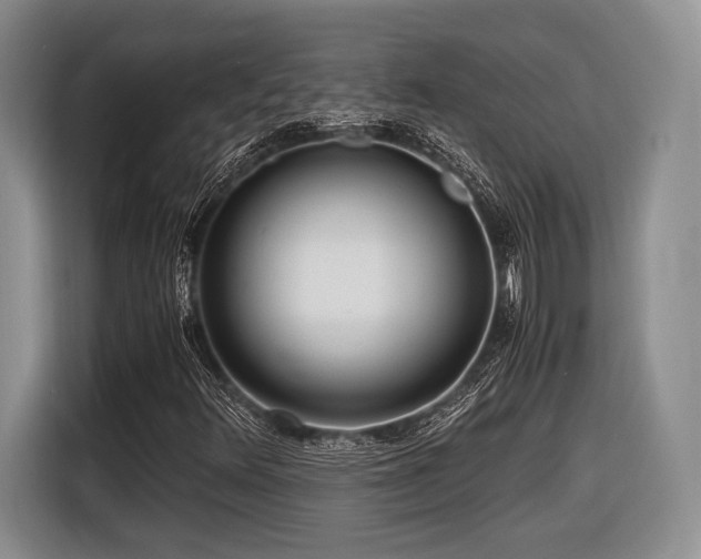 X0000116621348200912111148