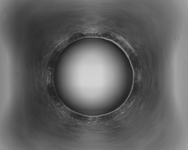 X0000116621350200912111148