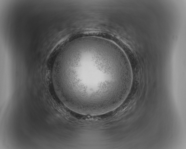 X0000116621351200912111148