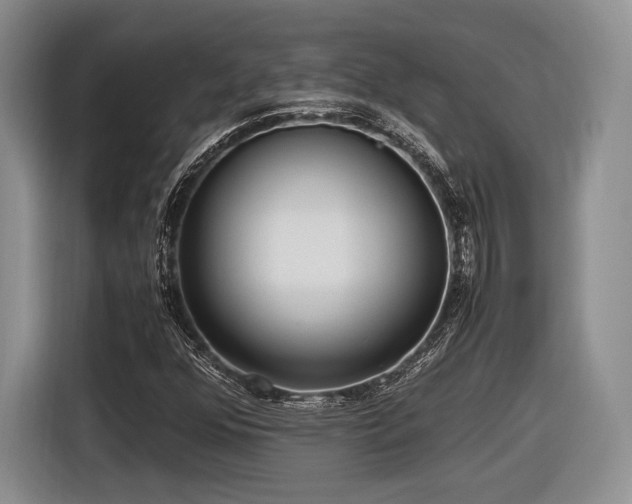 X0000116621352200912111148