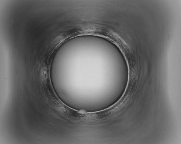 X0000116621353200912111148