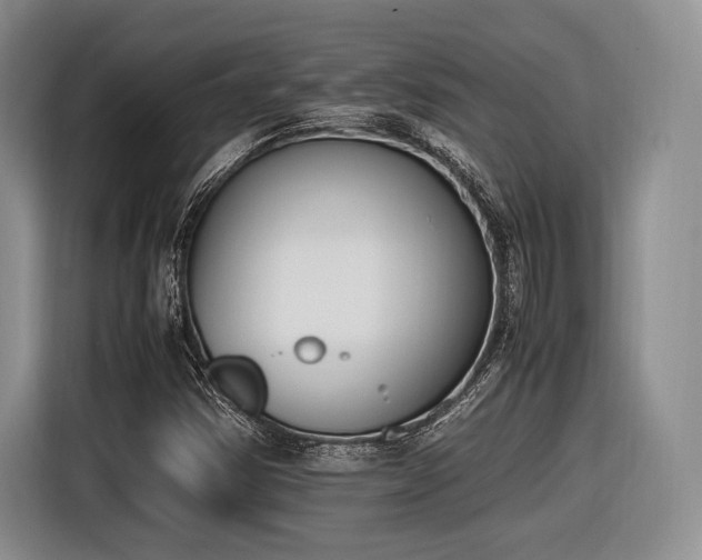 X0000116621354200912111148