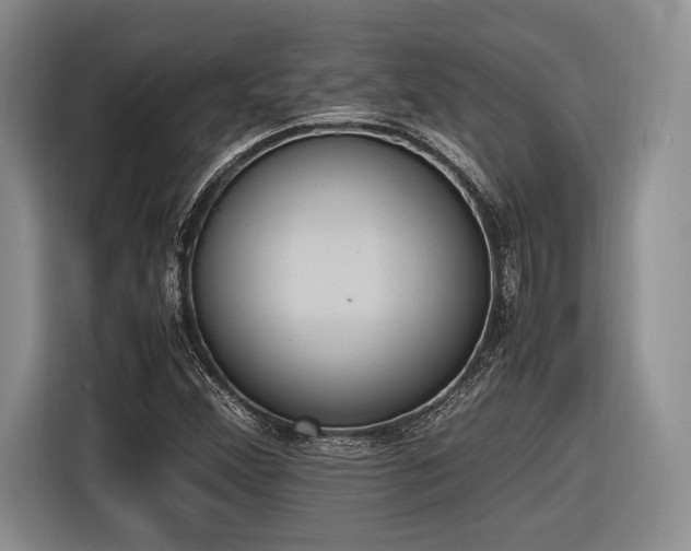 X0000116621356200912111148