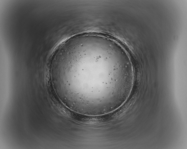 X0000116621359200912111148