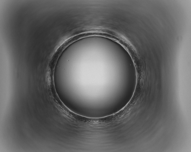 X0000116621360200912111148