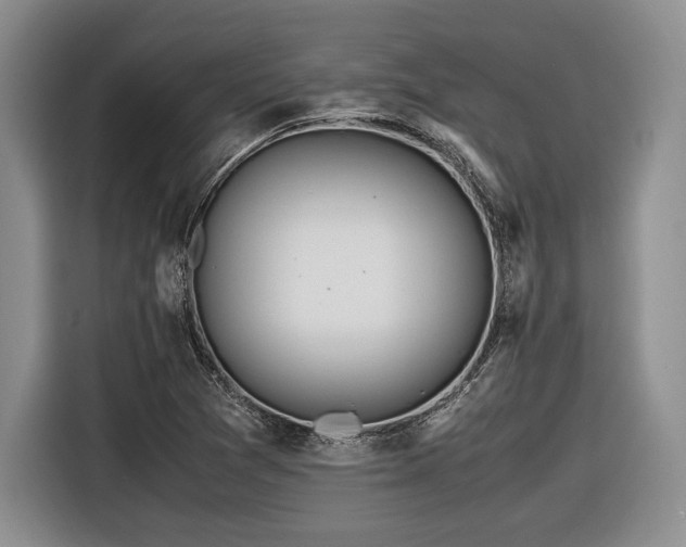 X0000116621361200912111148