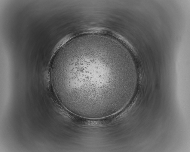 X0000116621362200912111148